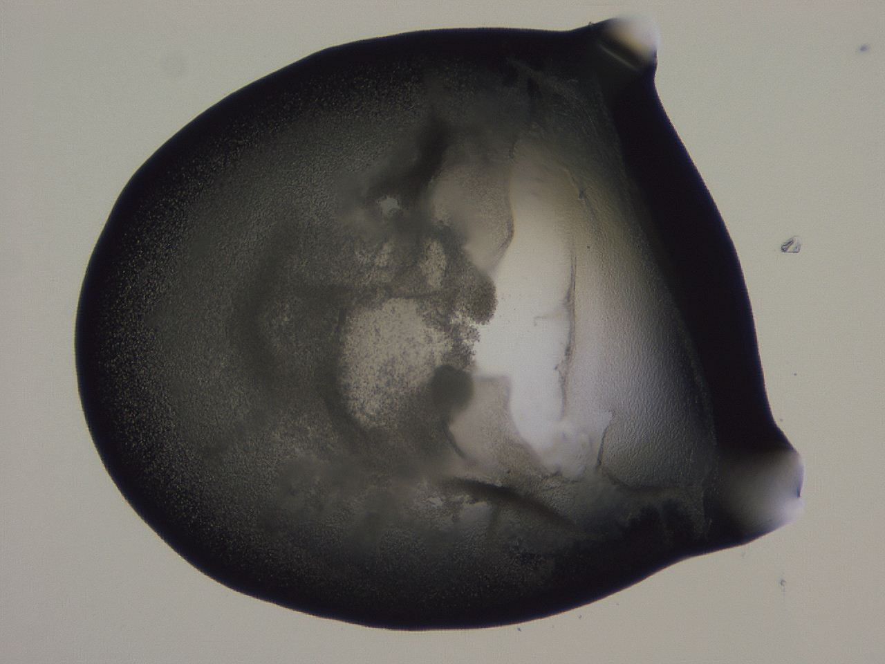 0506_G6_ImagerDefaults_3.jpg