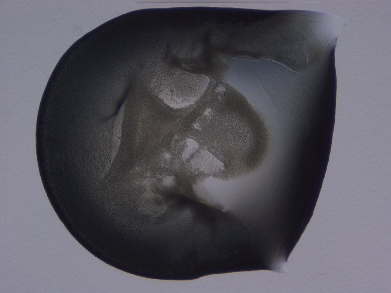 0506_H4_ImagerDefaults_3.jpg