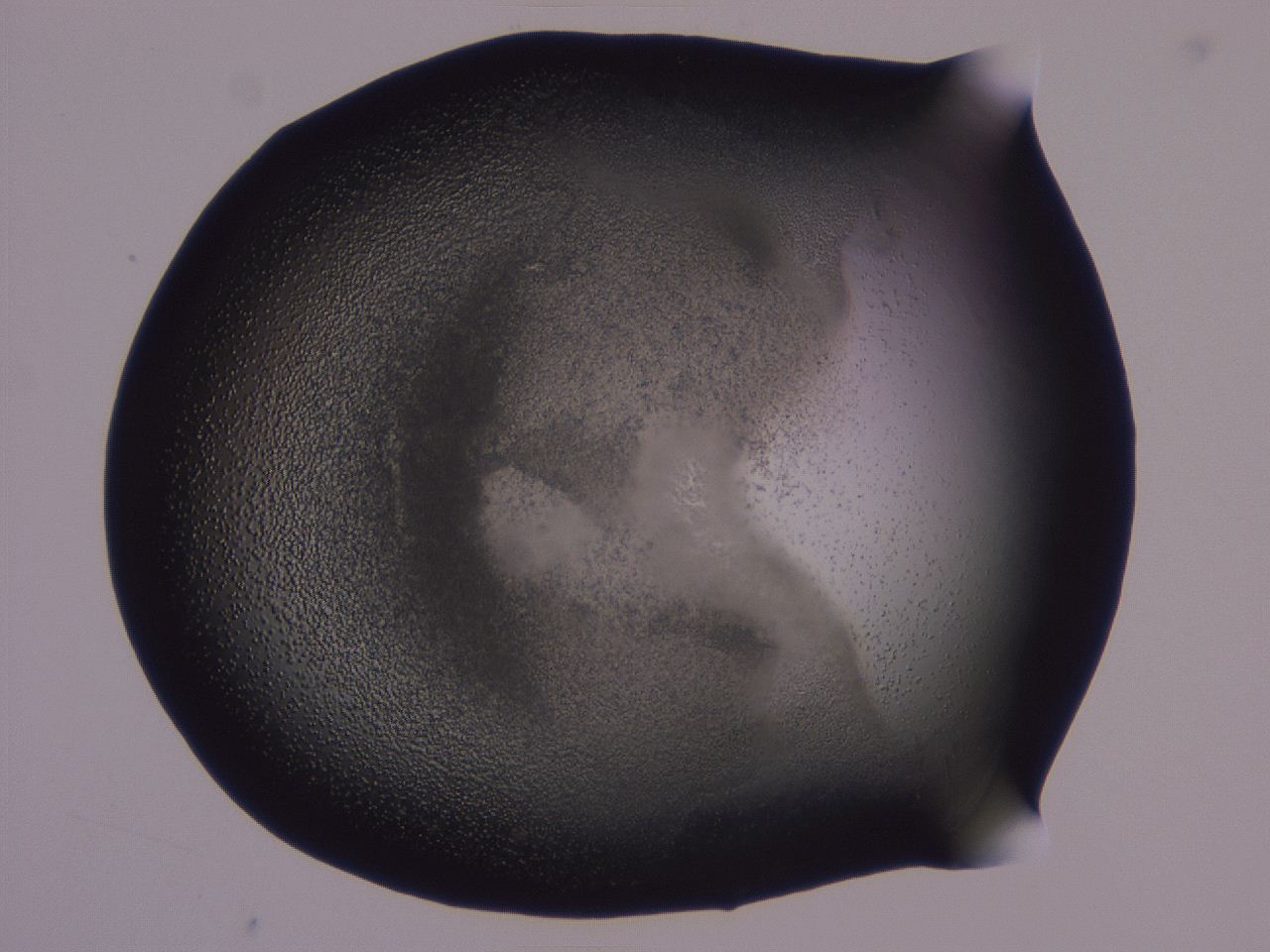 0506_H6_ImagerDefaults_3.jpg