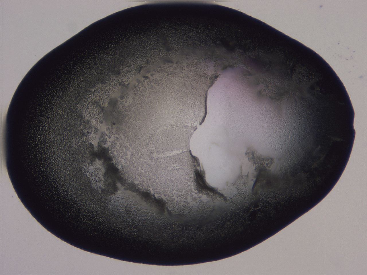 0506_H10_ImagerDefaults_3.jpg