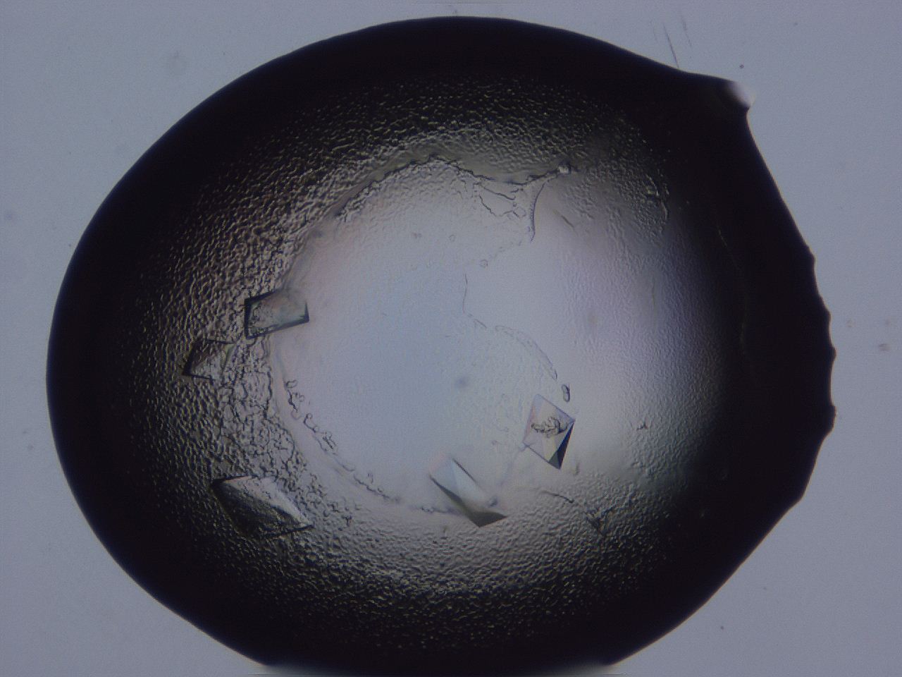 0506_H11_ImagerDefaults_9.jpg