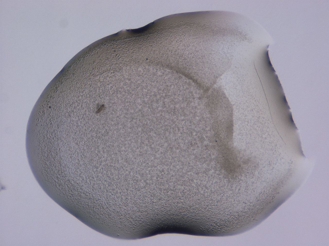 0507_C8_ImagerDefaults_3.jpg