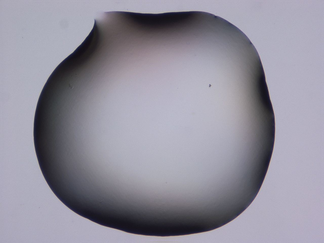 0507_C5_ImagerDefaults_0.jpg