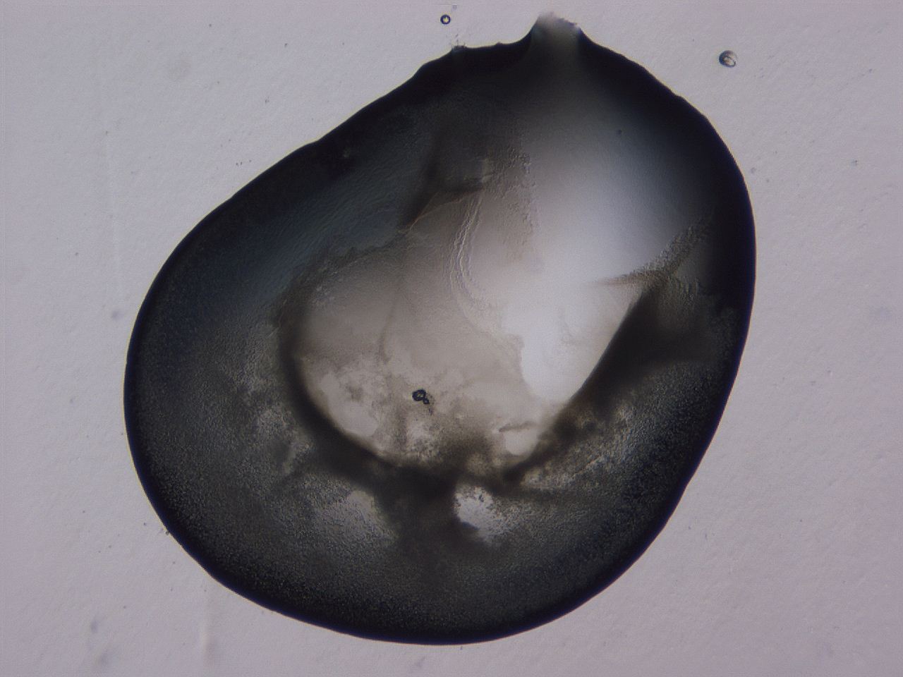 0507_A10_ImagerDefaults_3.jpg