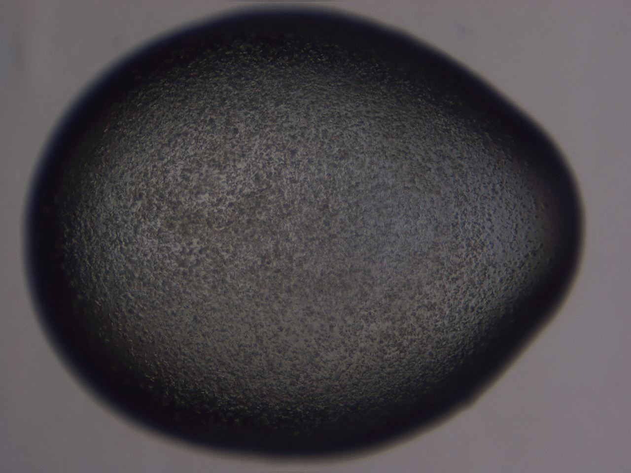 0507_A11_ImagerDefaults_3.jpg