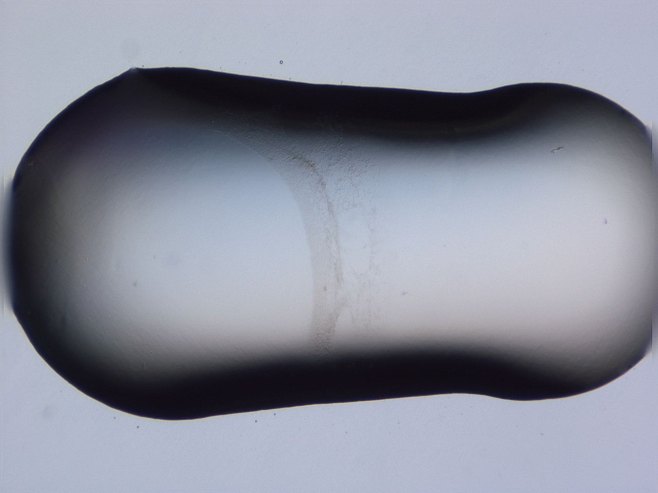 0507_D1_ImagerDefaults_0.jpg