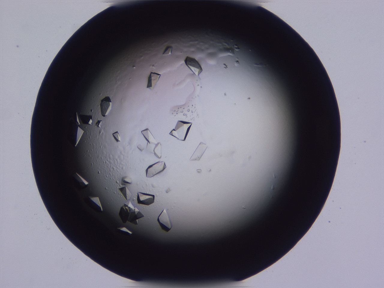 0507_C12_ImagerDefaults_9.jpg
