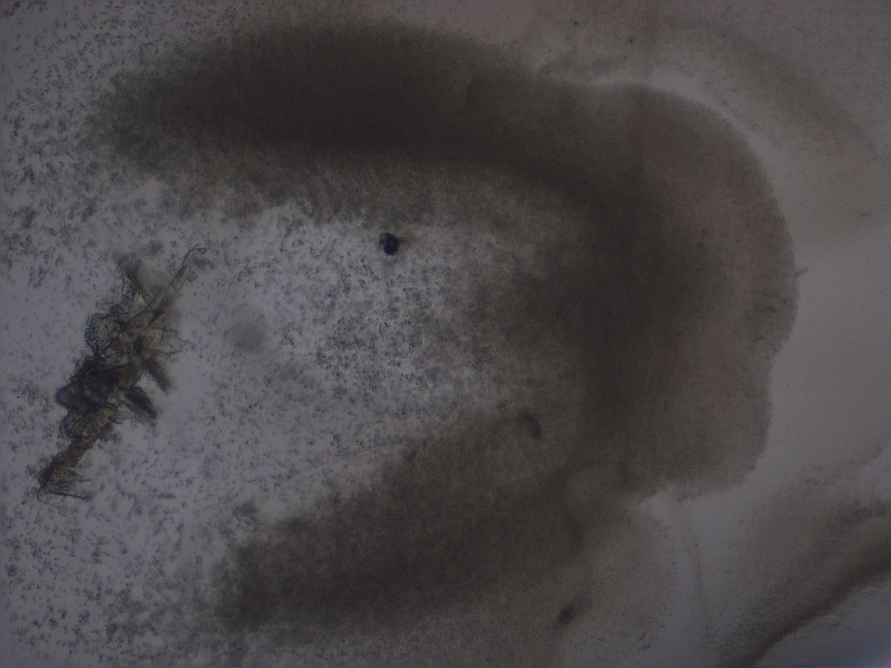 0507_C9_ImagerDefaults_3.jpg