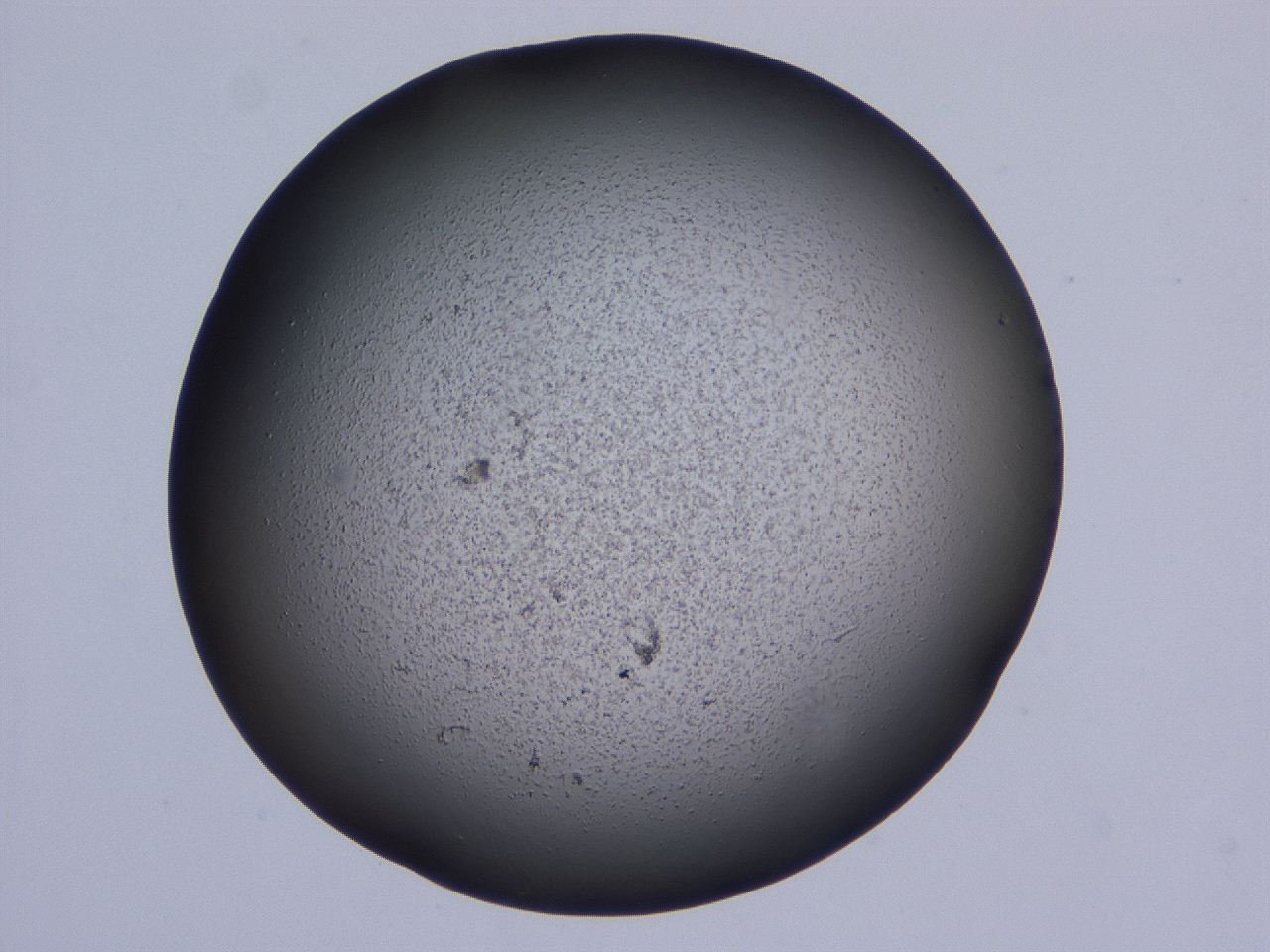 0507_B9_ImagerDefaults_3.jpg