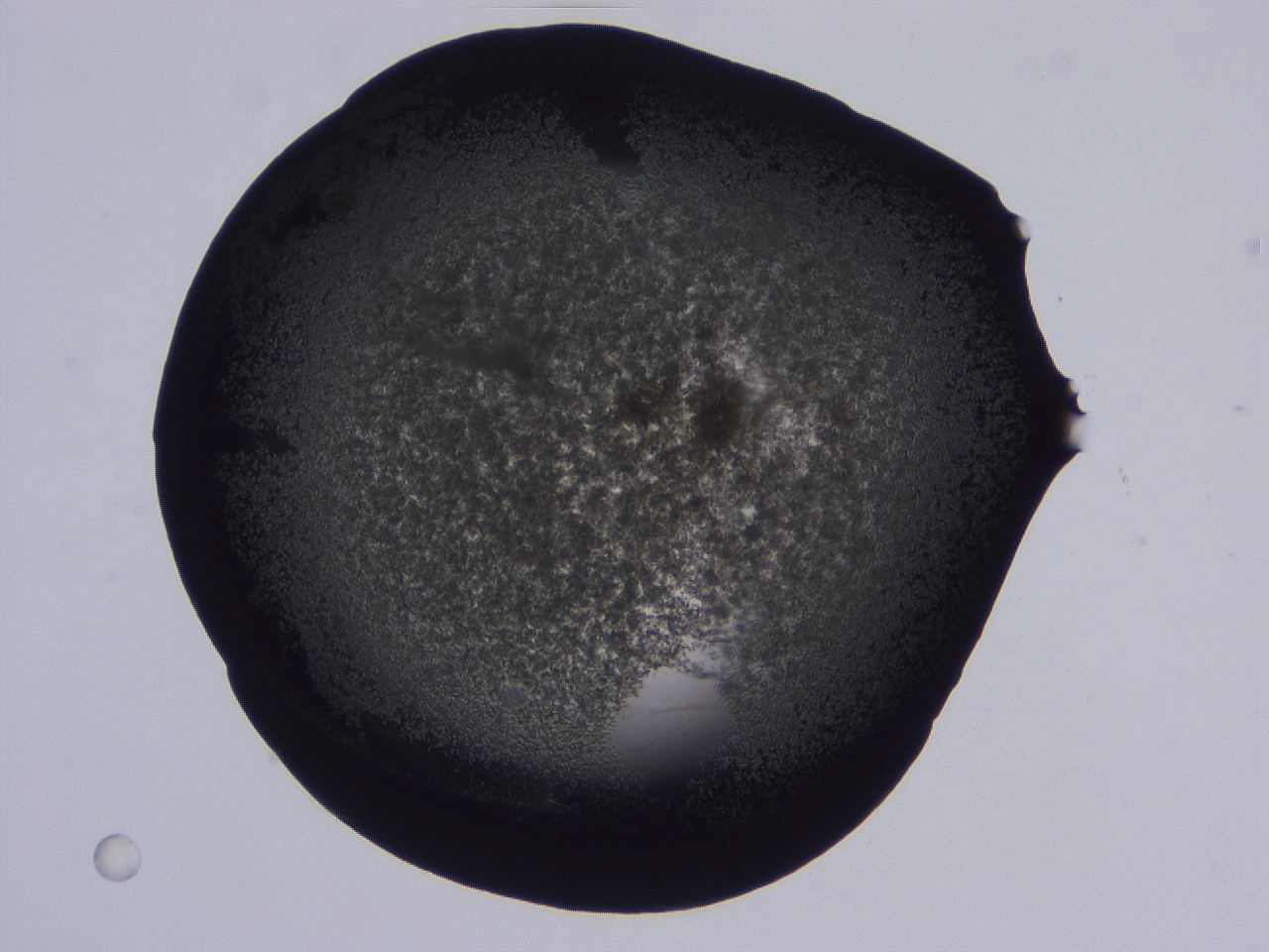 0507_B12_ImagerDefaults_3.jpg