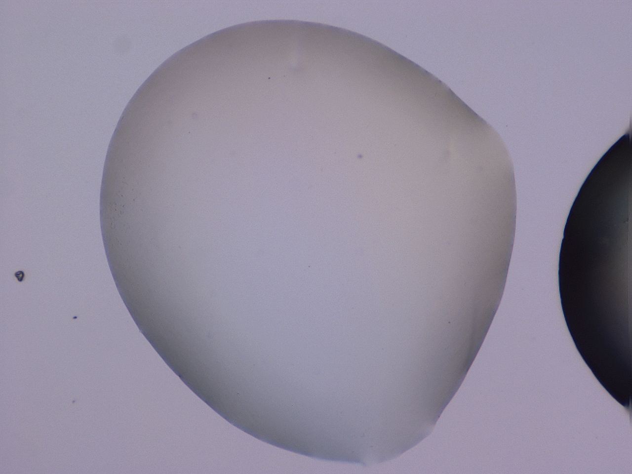 0507_C2_ImagerDefaults_0.jpg