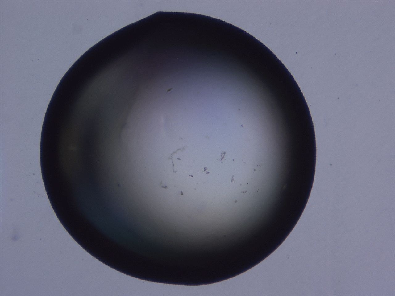 0507_E2_ImagerDefaults_0.jpg