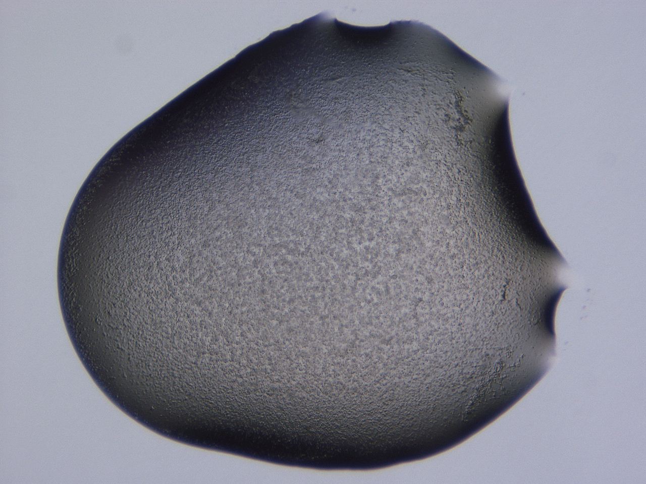 0507_E5_ImagerDefaults_3.jpg