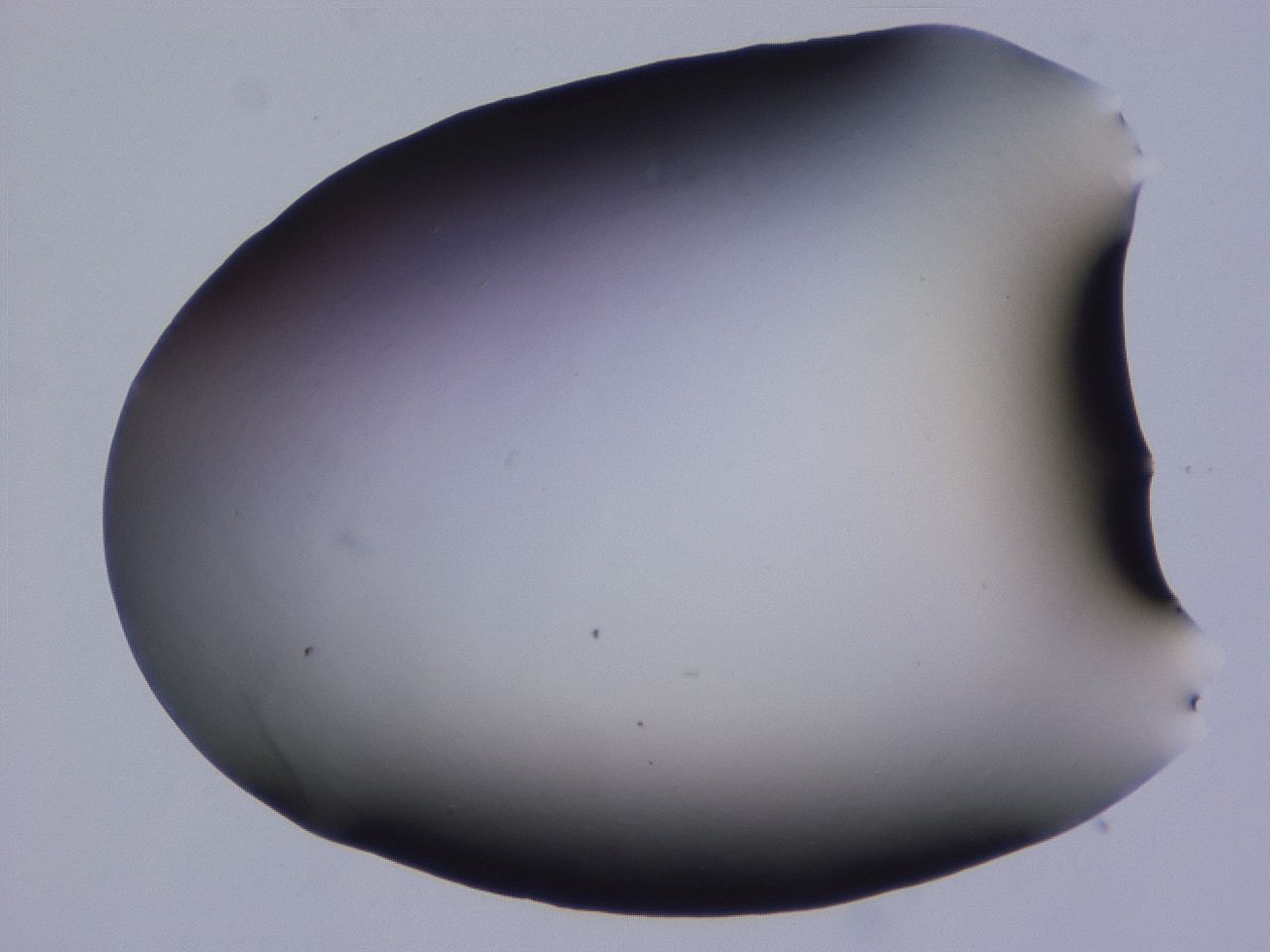 0507_E8_ImagerDefaults_0.jpg