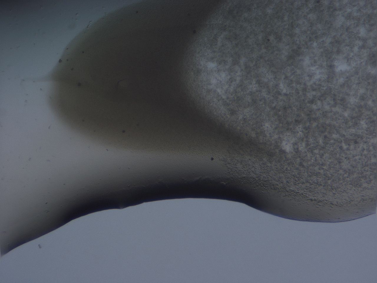 0507_F2_ImagerDefaults_3.jpg