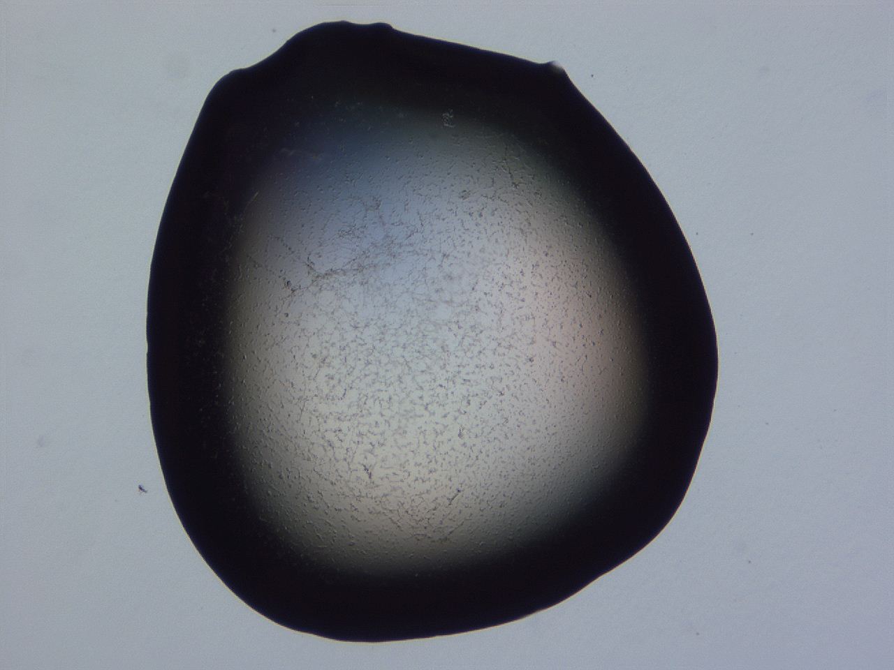 0507_F6_ImagerDefaults_3.jpg