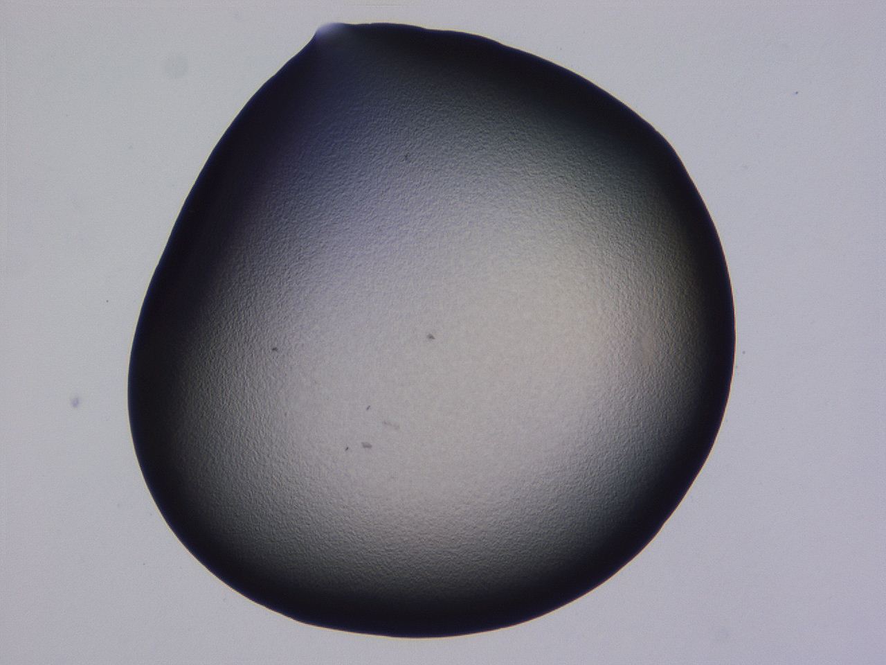 0507_F7_ImagerDefaults_3.jpg