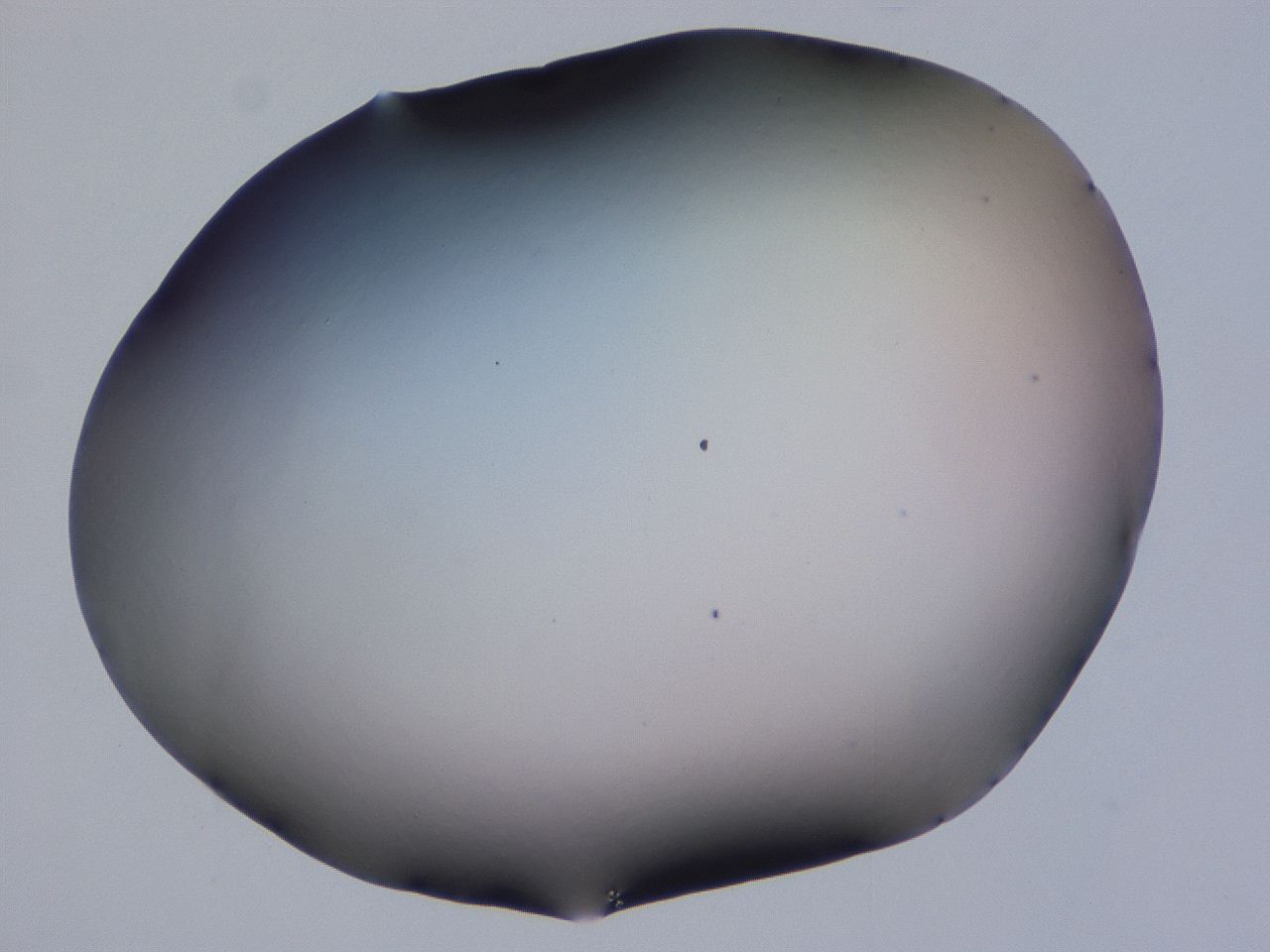 0507_F8_ImagerDefaults_0.jpg