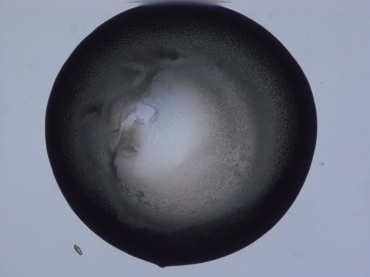 0507_F10_ImagerDefaults_3.jpg
