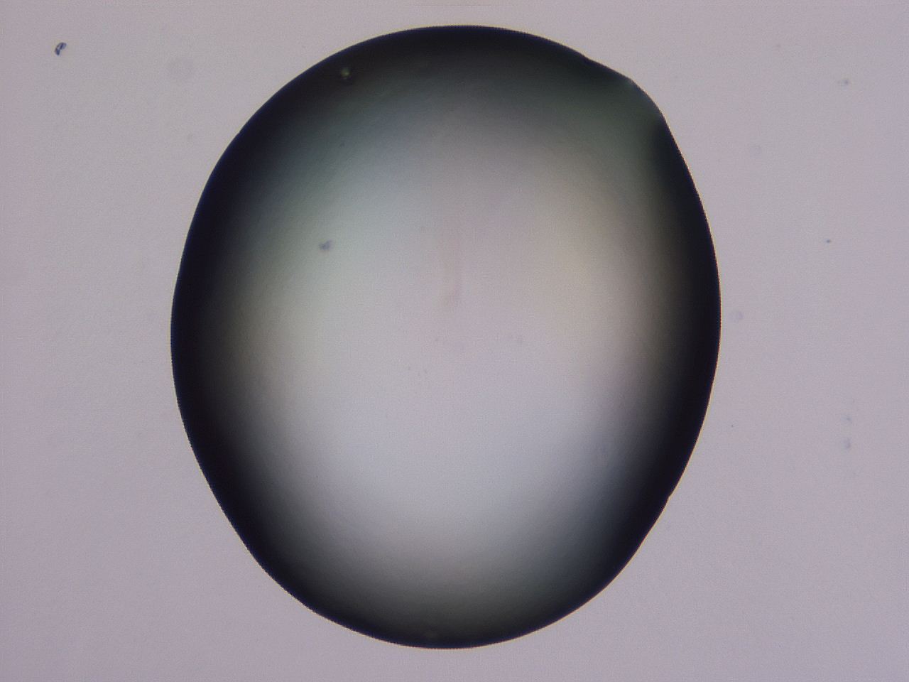 0507_F11_ImagerDefaults_0.jpg