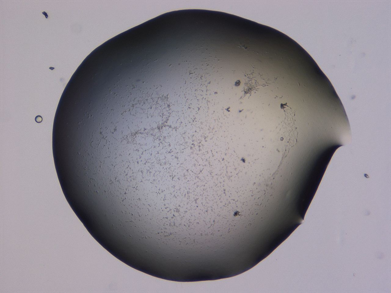 0507_F12_ImagerDefaults_3.jpg