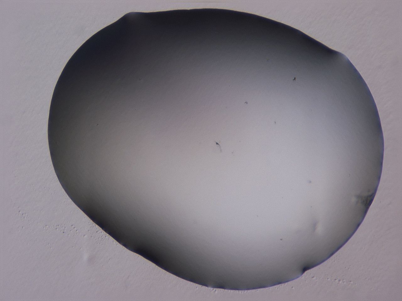 0507_A5_ImagerDefaults_0.jpg