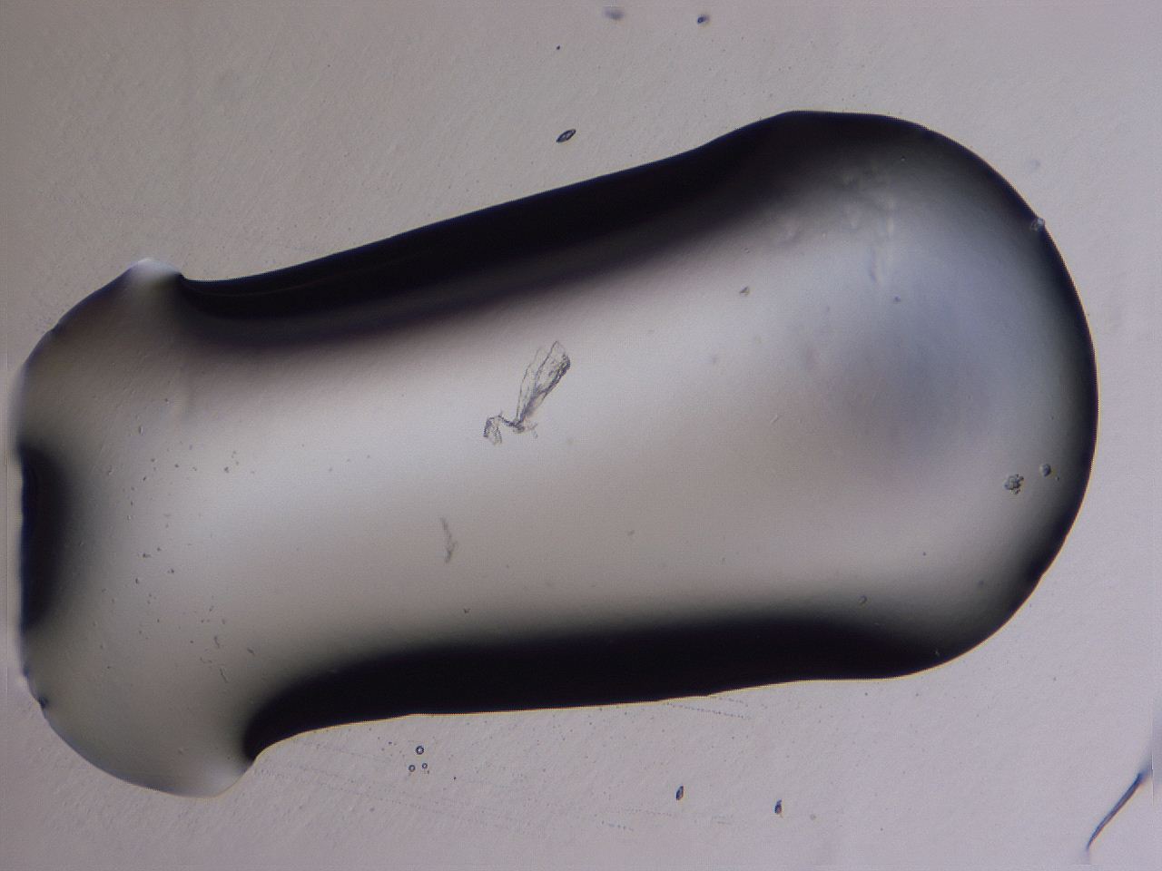 0507_A3_ImagerDefaults_0.jpg
