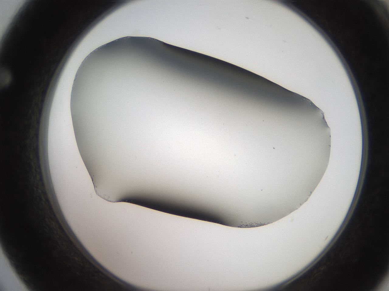 folderID241_plateID2241_batchID10043_wellNum62_profileID1_d1_r154927_ef.jpg