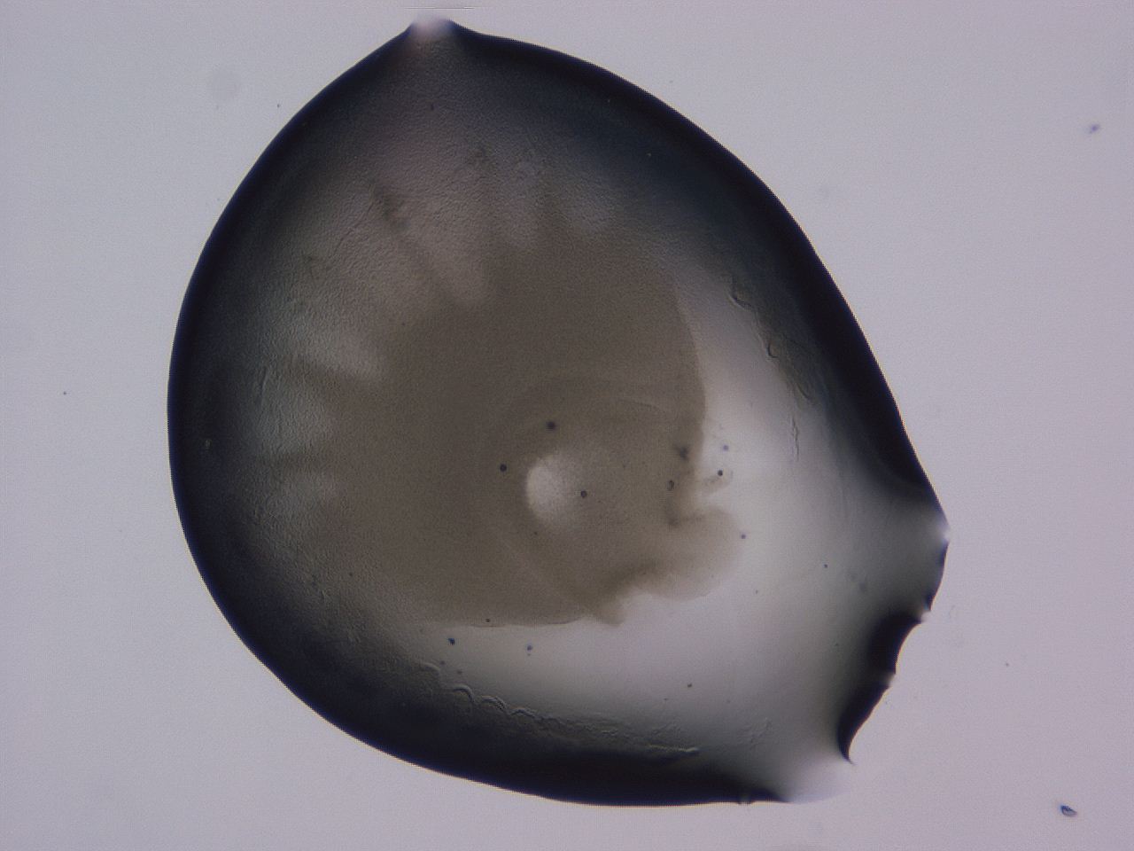 0507_D11_ImagerDefaults_3.jpg