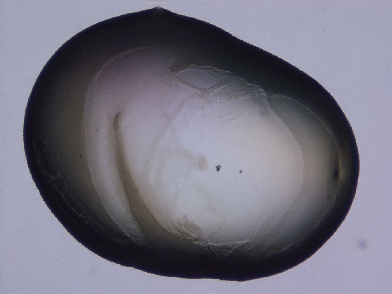 0507_D9_ImagerDefaults_3.jpg