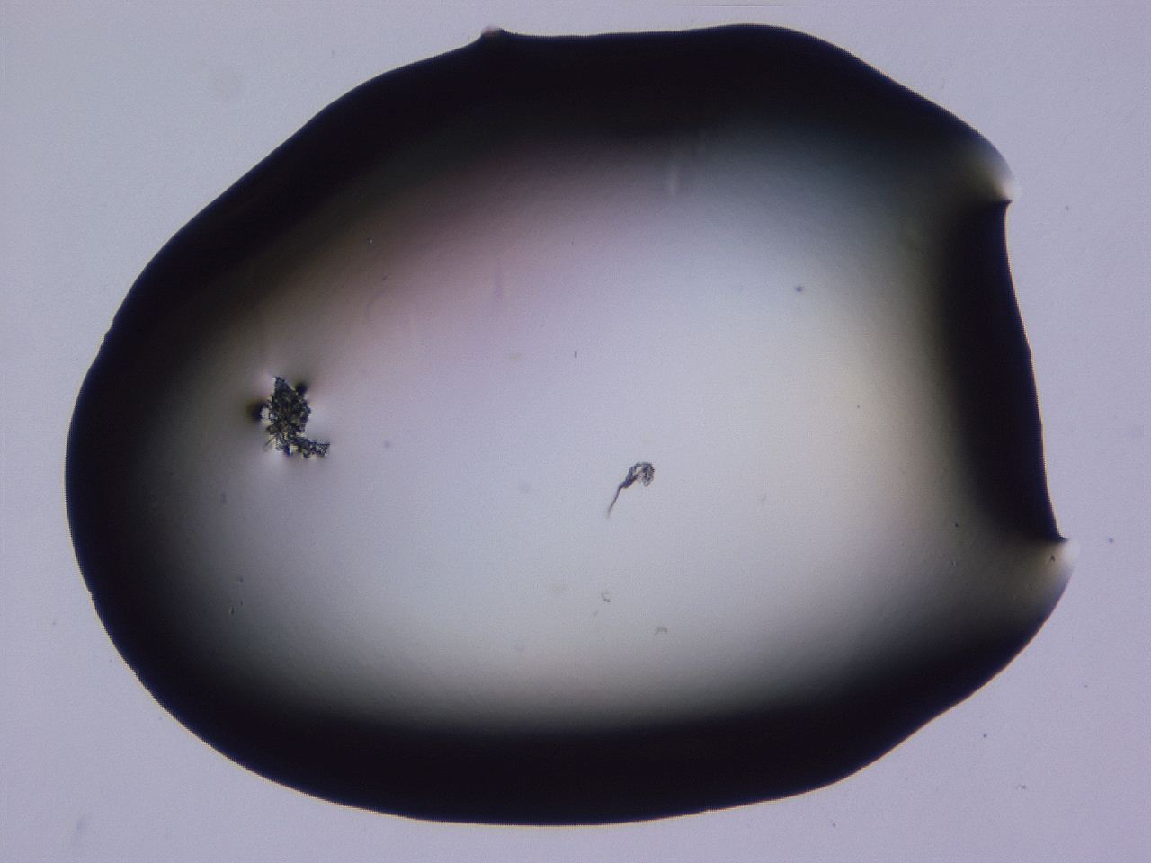 0507_D8_ImagerDefaults_0.jpg