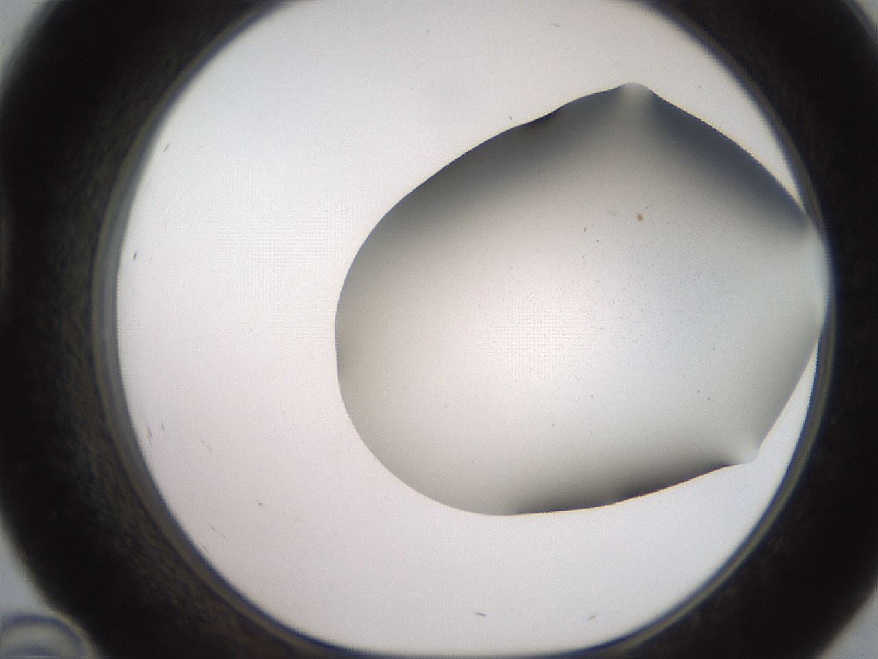 folderID241_plateID2241_batchID10084_wellNum46_profileID1_d1_r154911_ef.jpg