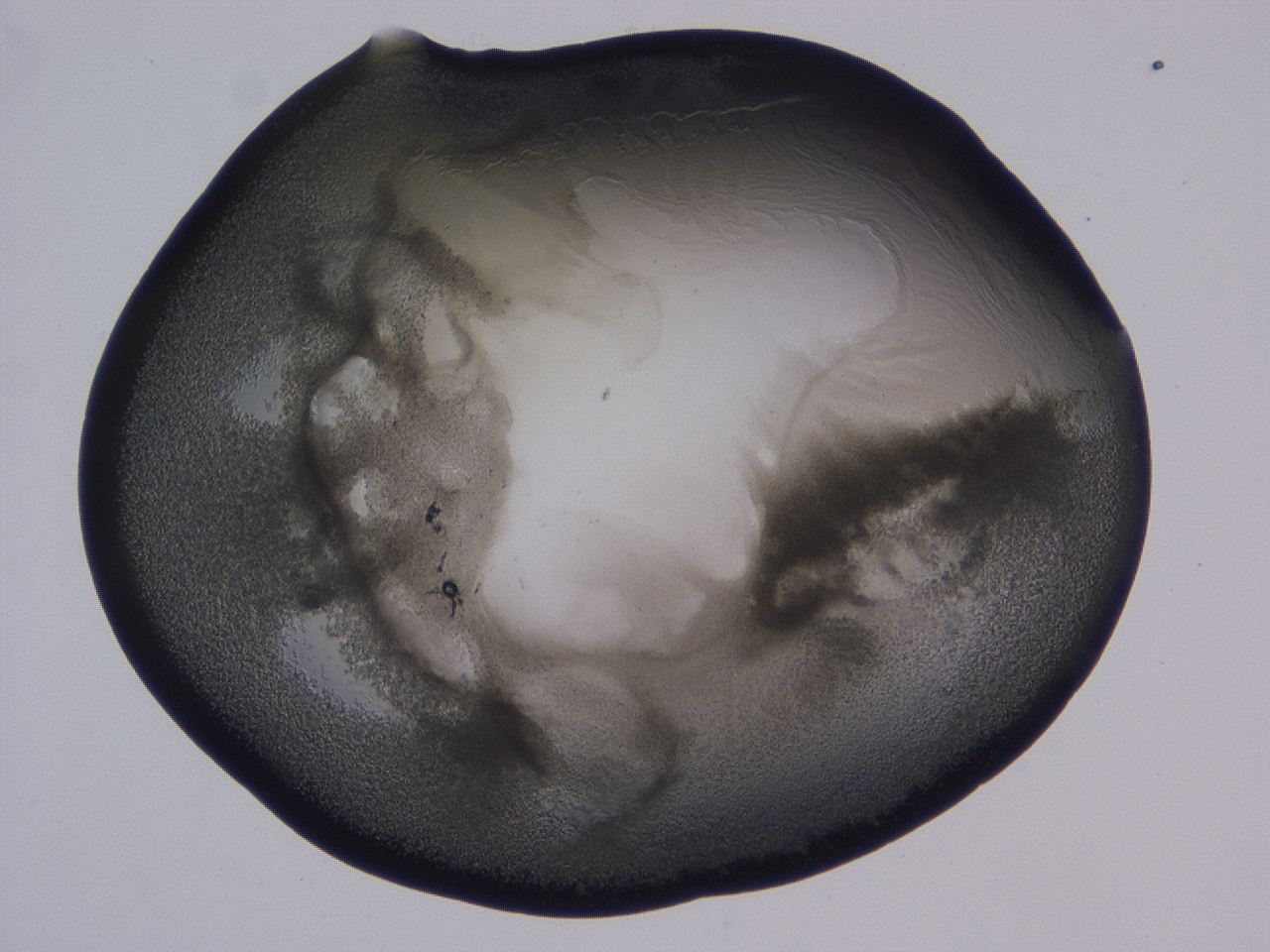 0507_D7_ImagerDefaults_3.jpg