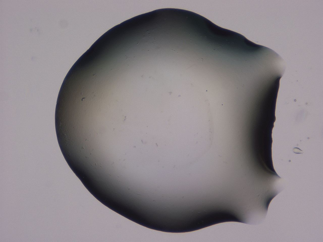 0507_G4_ImagerDefaults_0.jpg