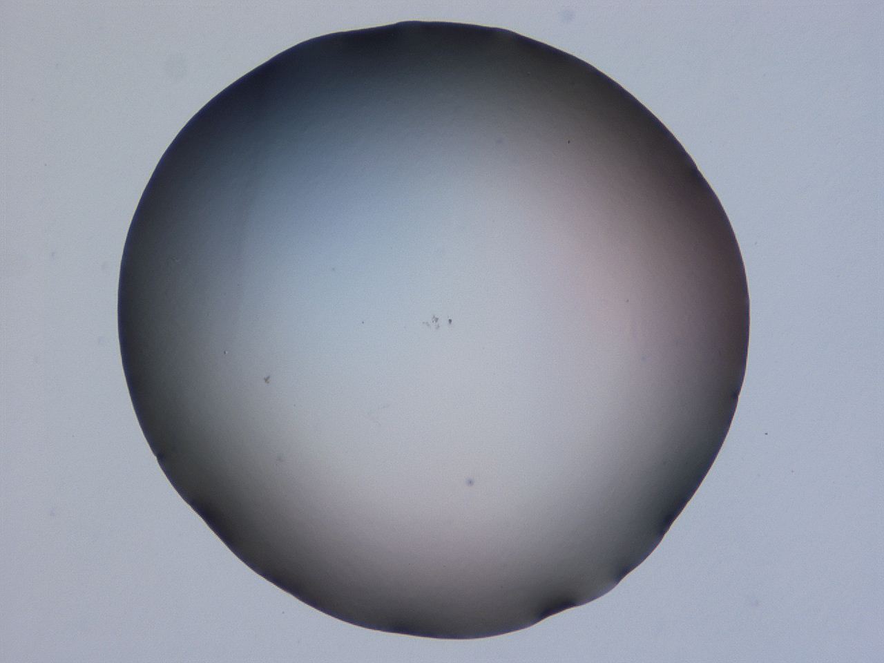 0507_G5_ImagerDefaults_0.jpg
