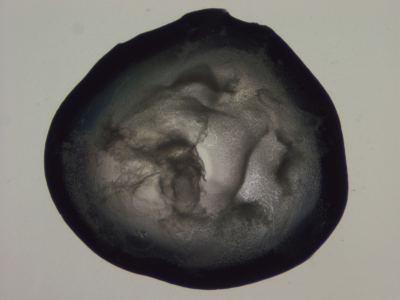 0507_G6_ImagerDefaults_3.jpg