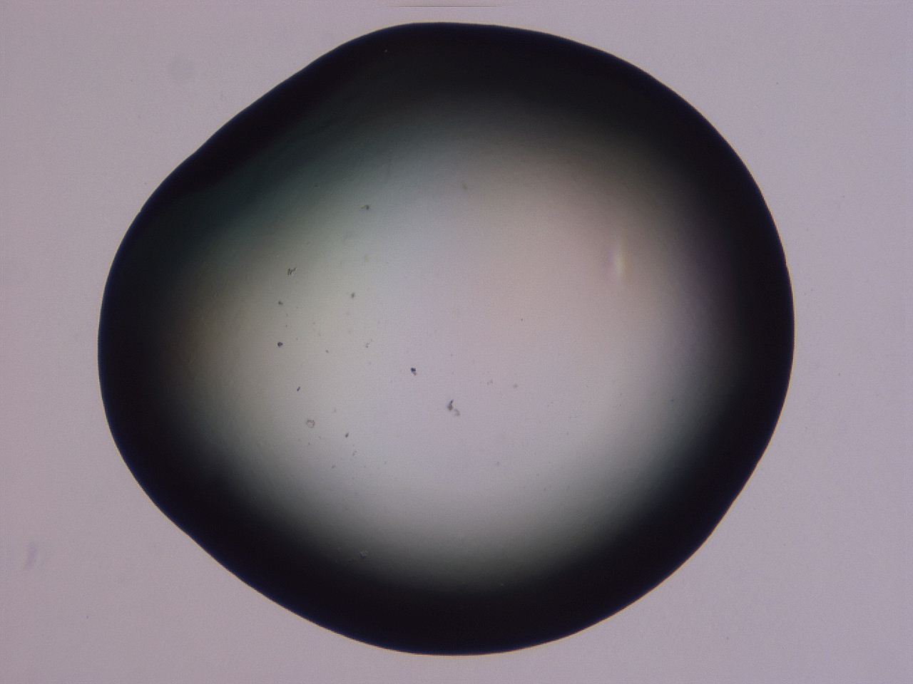 0507_G7_ImagerDefaults_0.jpg
