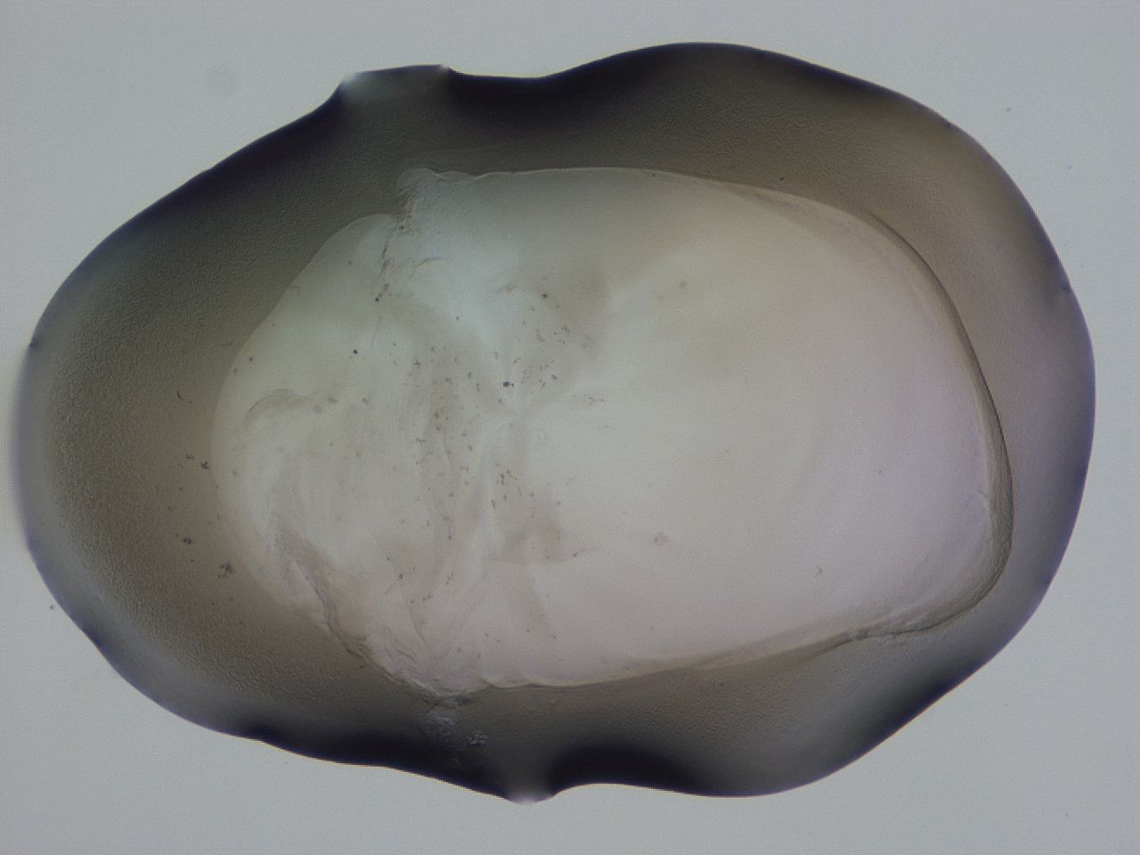0507_G10_ImagerDefaults_3.jpg