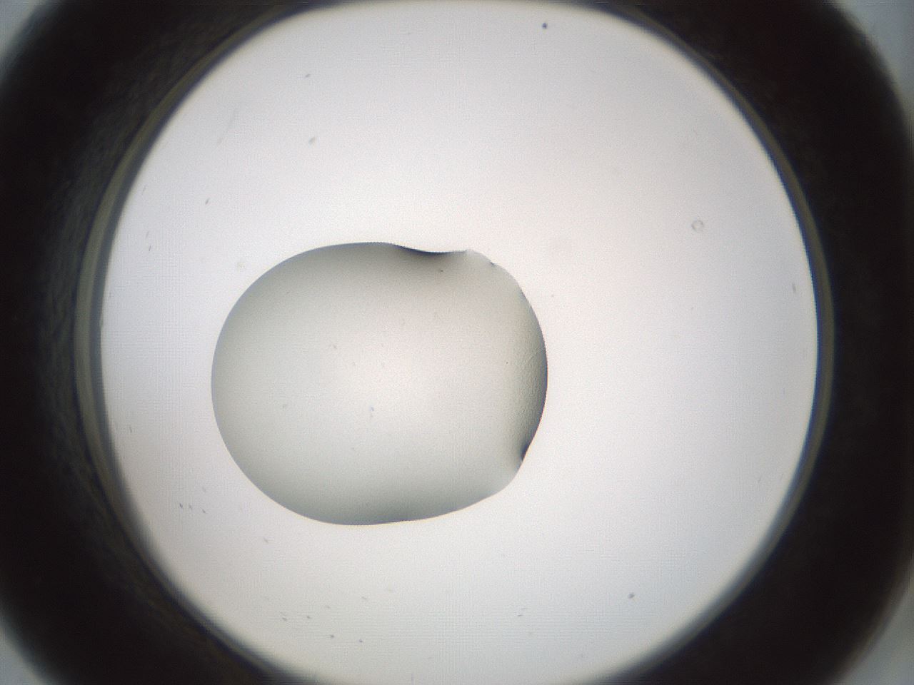 folderID241_plateID3241_batchID18923_wellNum8_profileID1_d2_r283858_ef.jpg