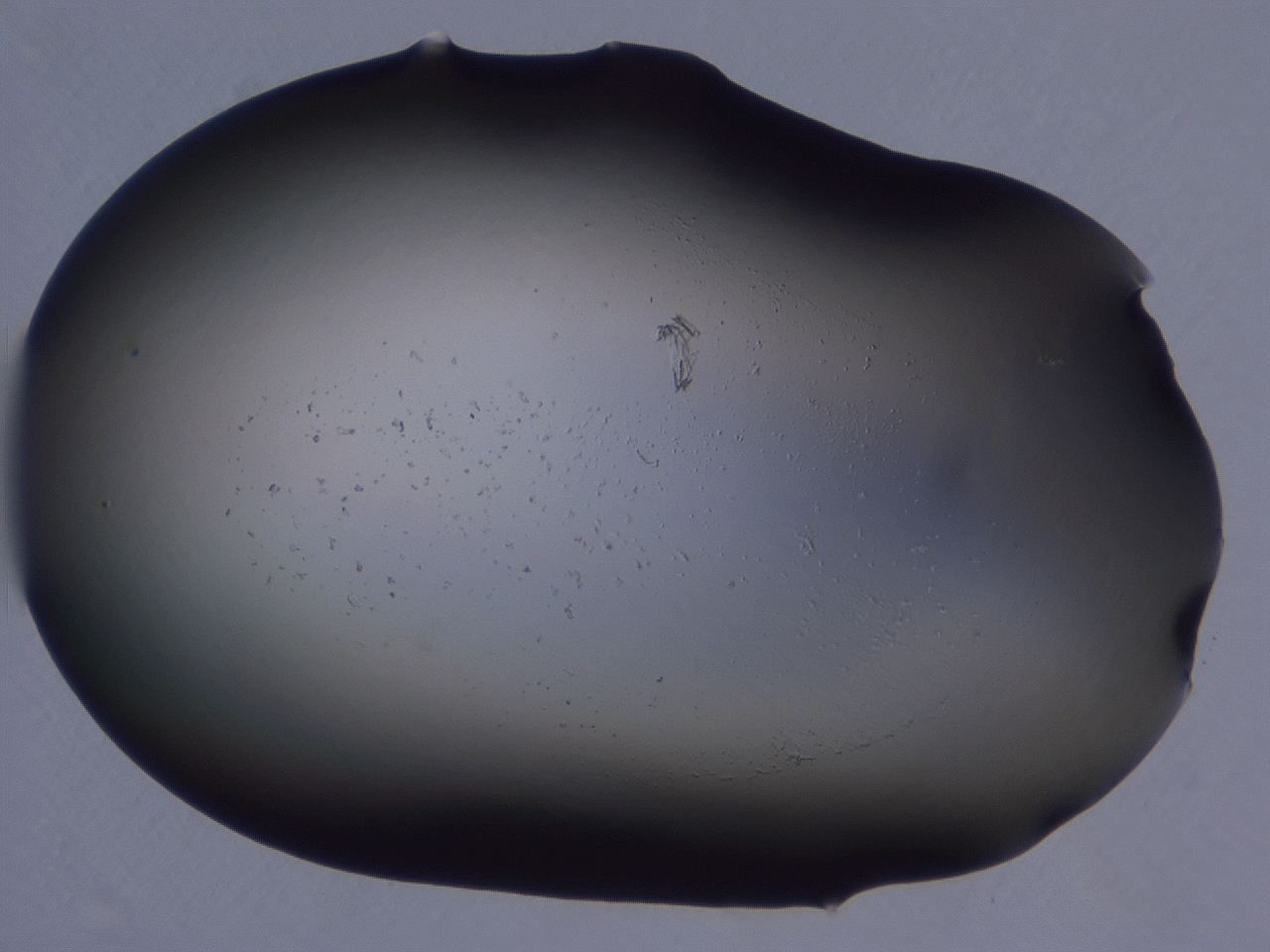 0507_H5_ImagerDefaults_0.jpg