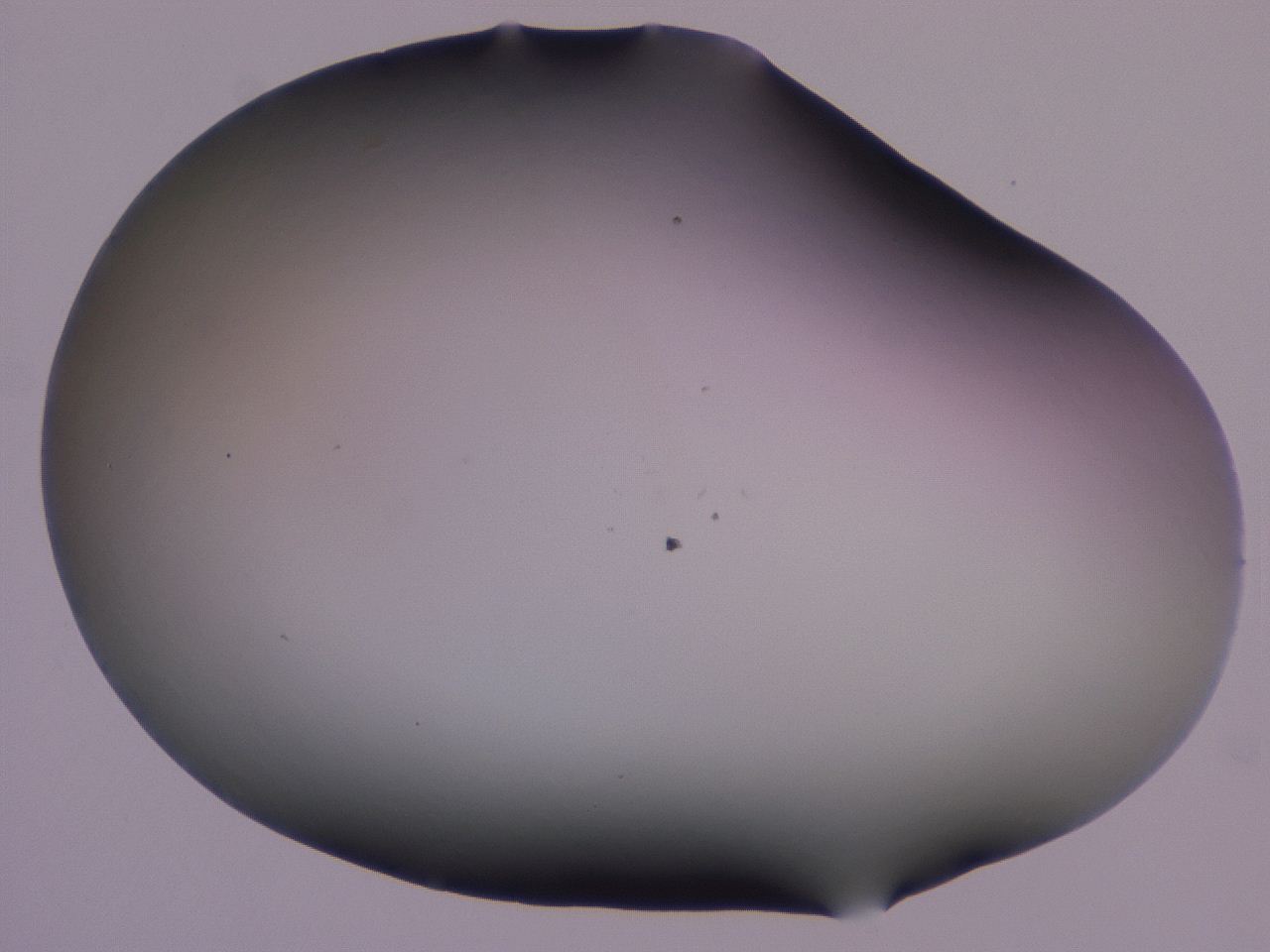 0507_H6_ImagerDefaults_0.jpg