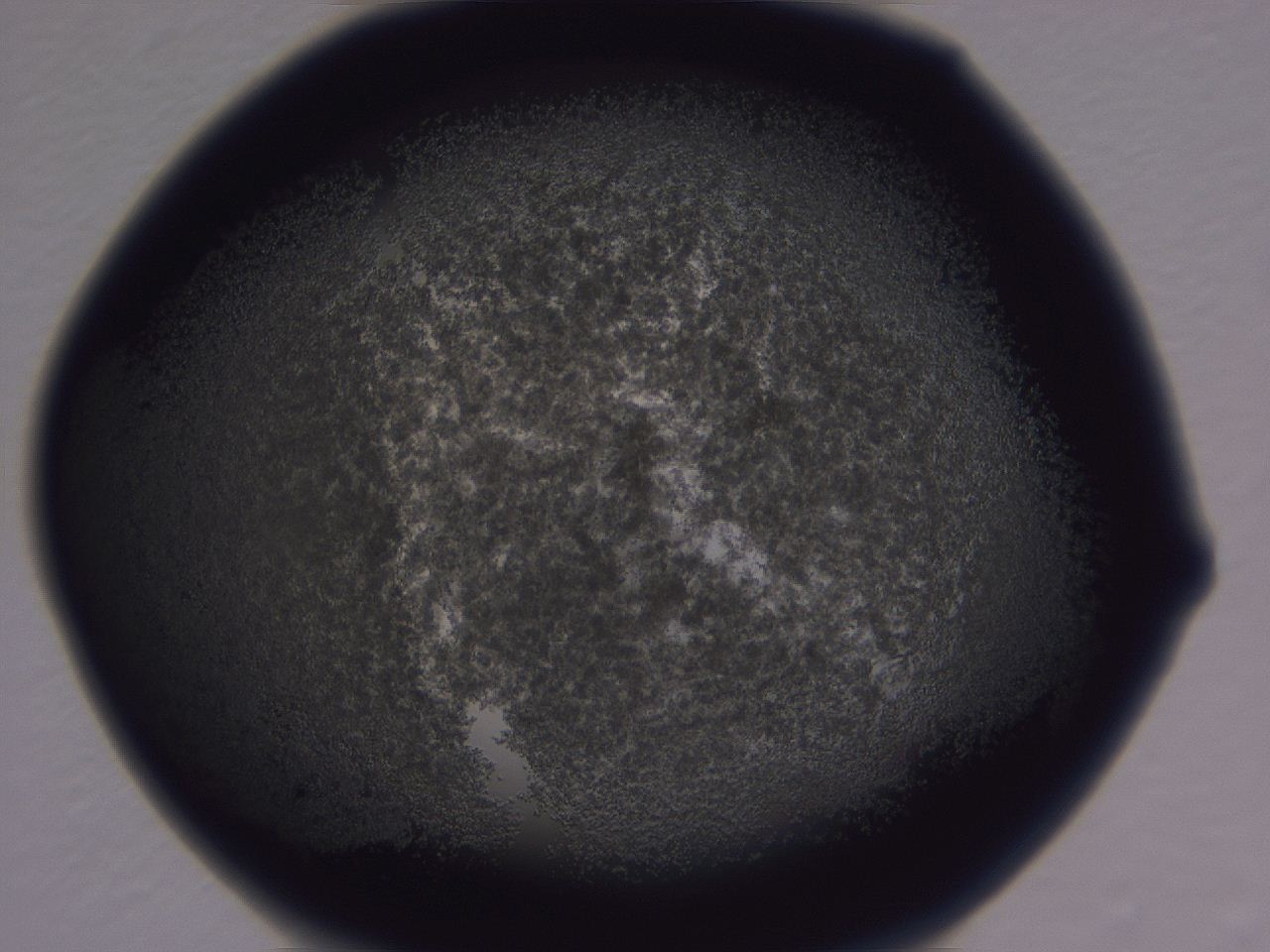 0507_H8_ImagerDefaults_3.jpg