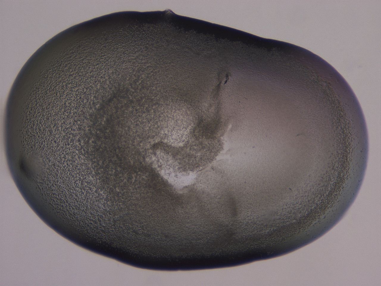 0507_H10_ImagerDefaults_3.jpg