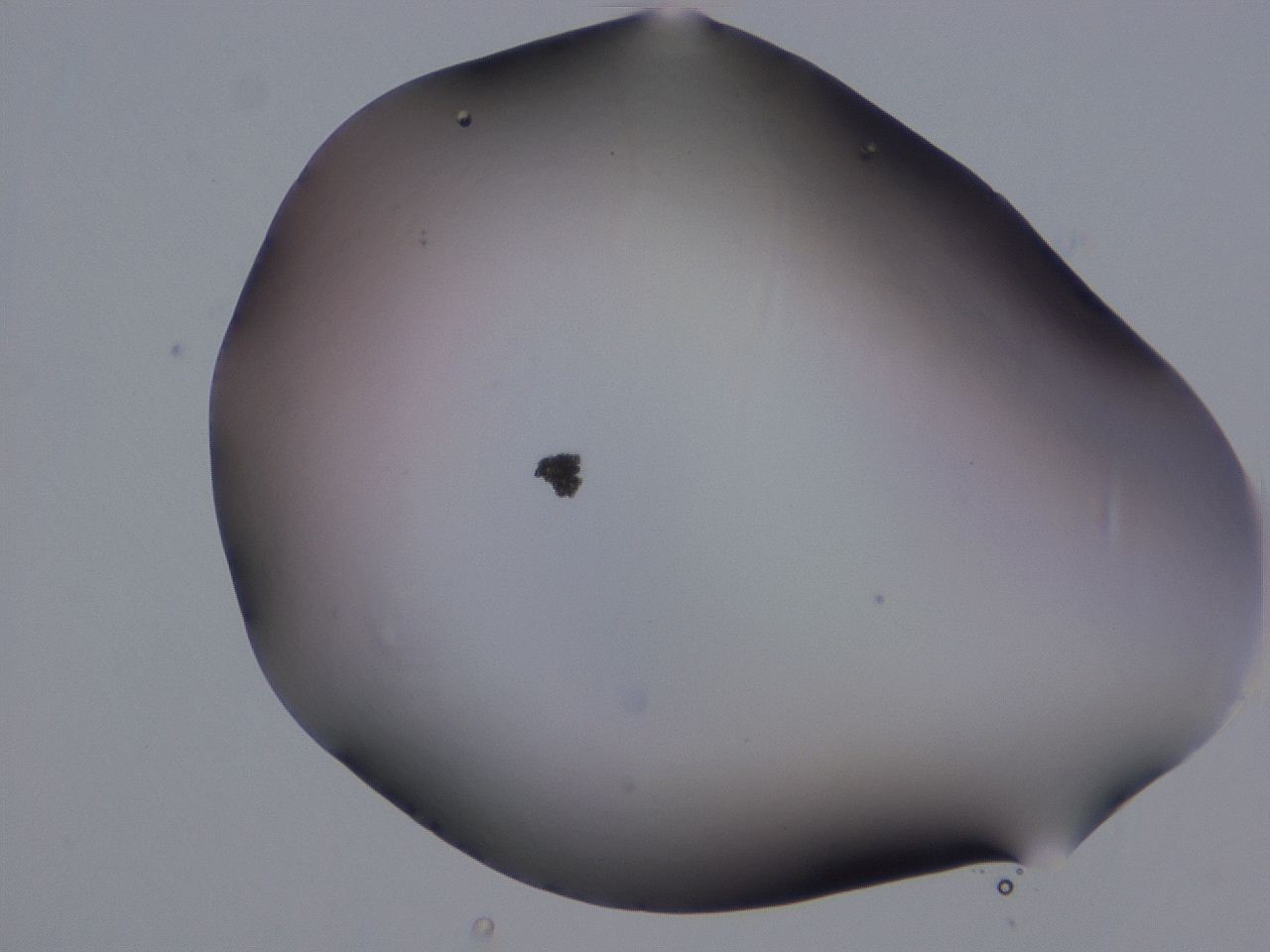 0507_H11_ImagerDefaults_0.jpg