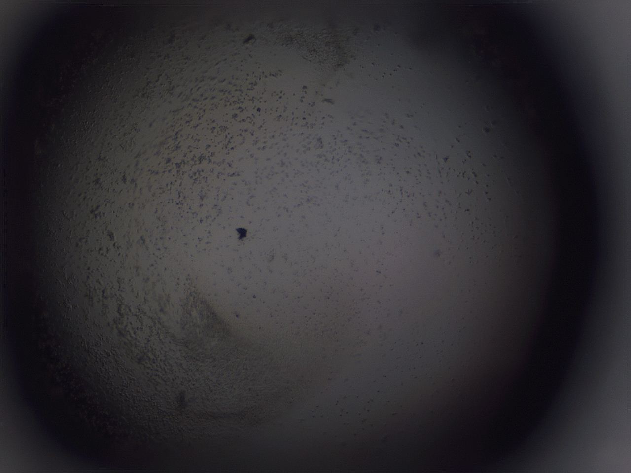 0507_H12_ImagerDefaults_3.jpg