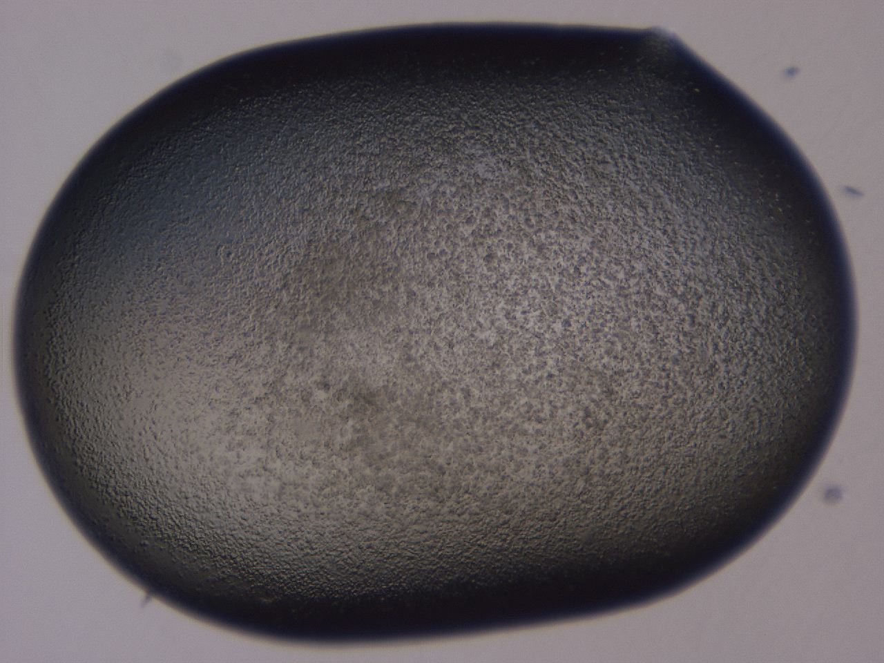 0508_A2_ImagerDefaults_3.jpg