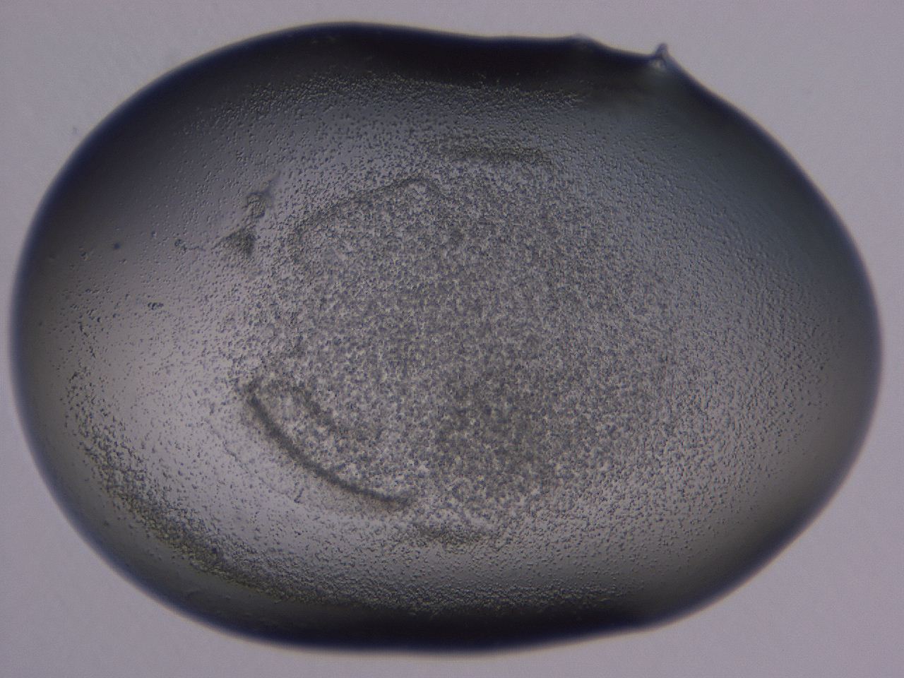 0508_A4_ImagerDefaults_3.jpg