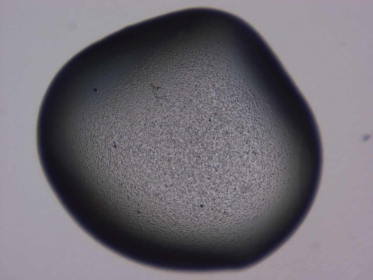 0508_A10_ImagerDefaults_3.jpg