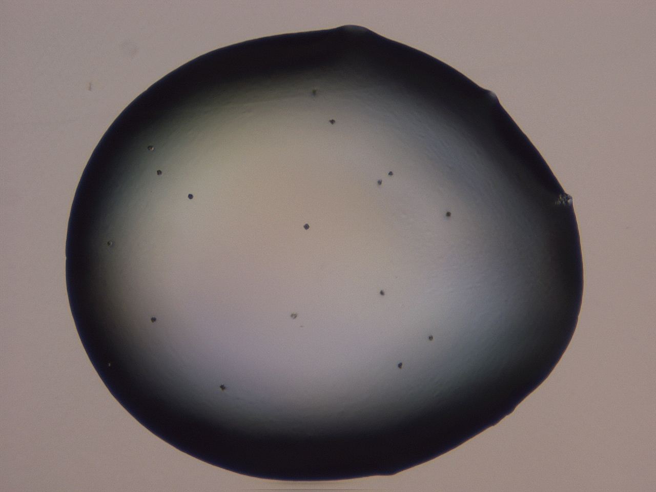 0508_B2_ImagerDefaults_0.jpg