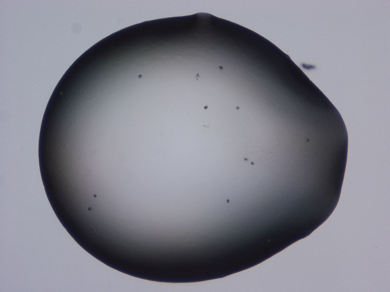 0508_B3_ImagerDefaults_0.jpg